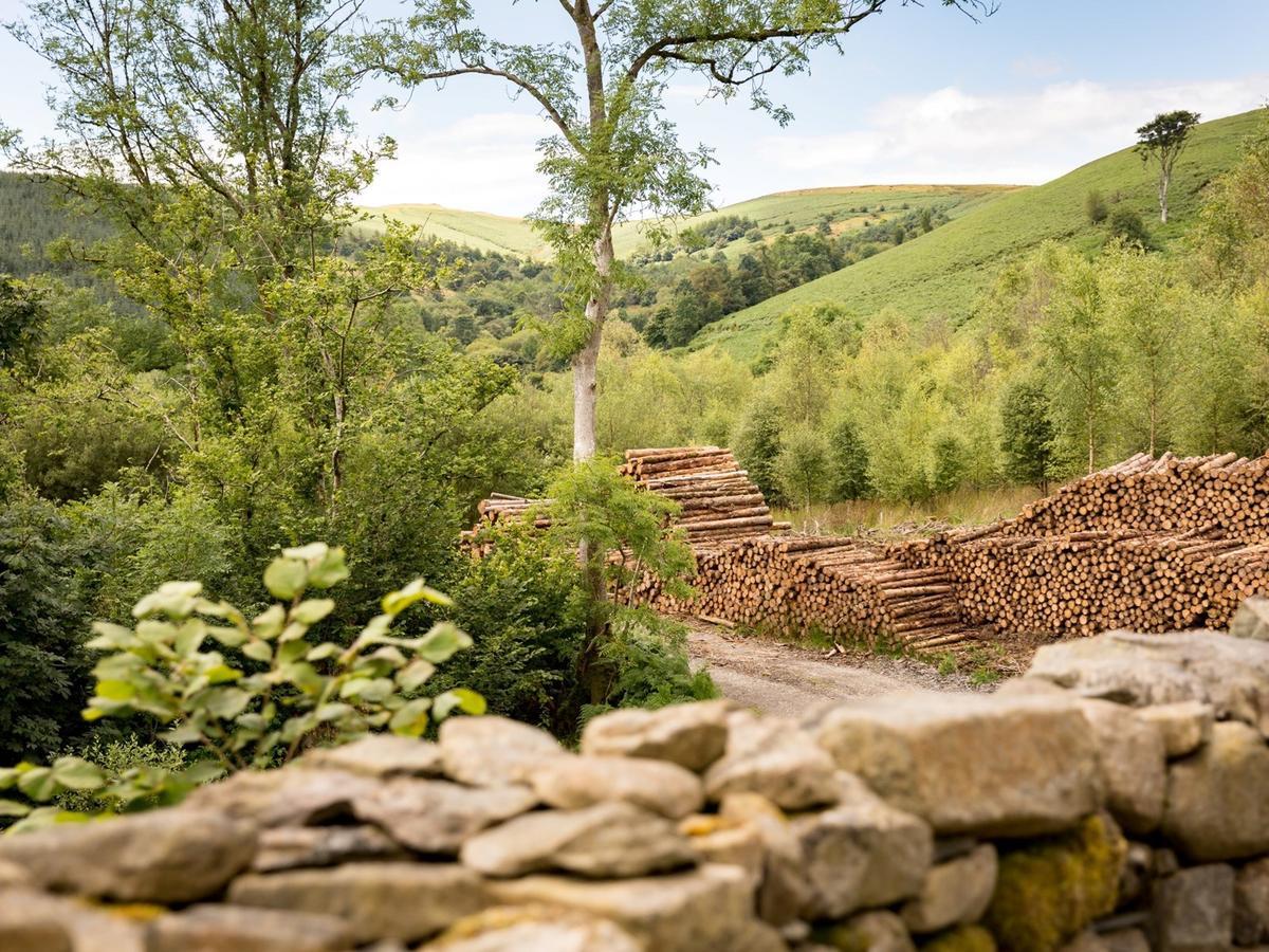 Red Kite Barn - Charming Boutique barn conversion Newbridge on Wye Extérieur photo